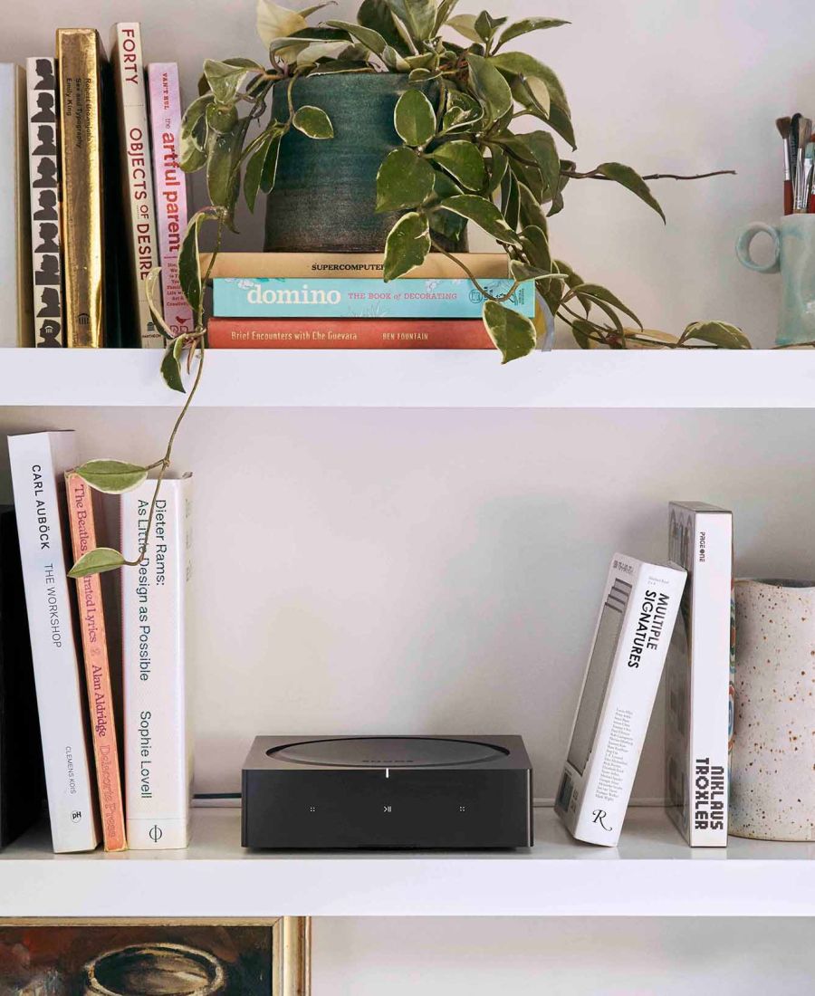 white bookshelves with black speakers and port sitting on them surrounded by plants and books